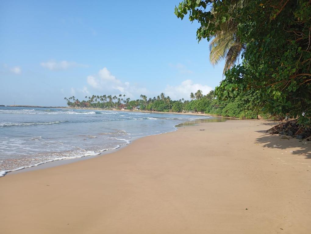 a sandy beach with trees and the ocean at Village Cottage in Dickwella