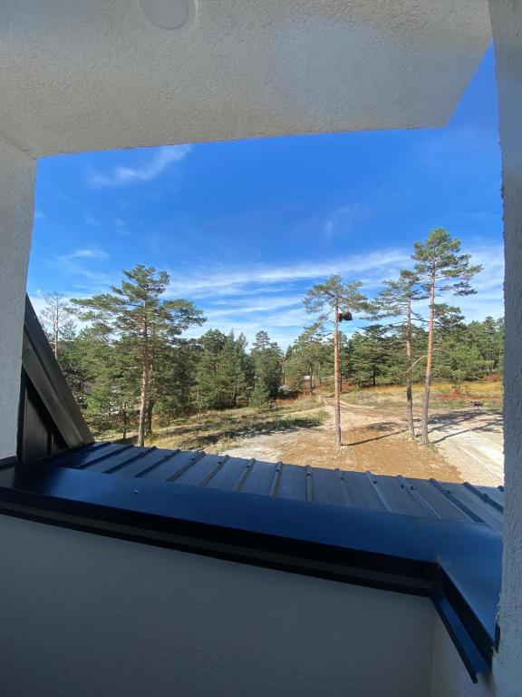 Priroda u blizini apartmana