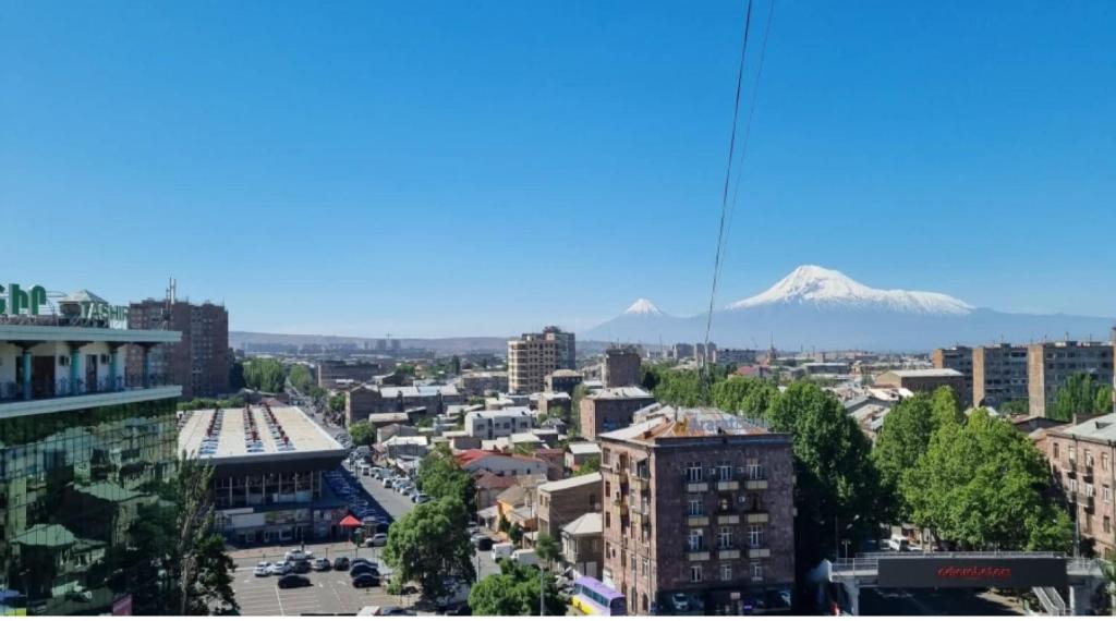 فضای داخلی Квартира в центре, у метро с видом на Арарат در ایروان - تصویر ۳