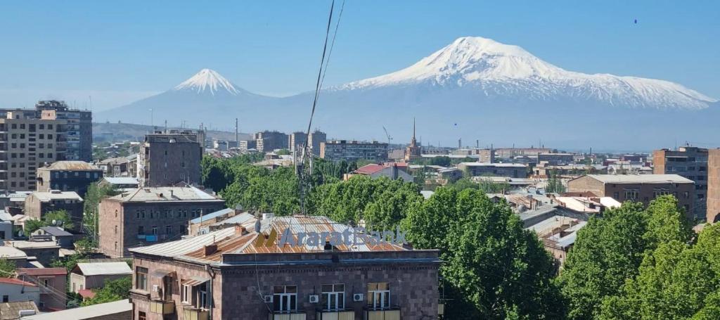تصویر اتاق‌های Квартира в центре, у метро с видом на Арарат - تصویر ۲