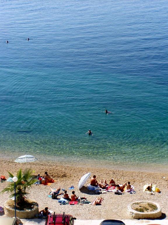 Príroda v okolí apartmánu