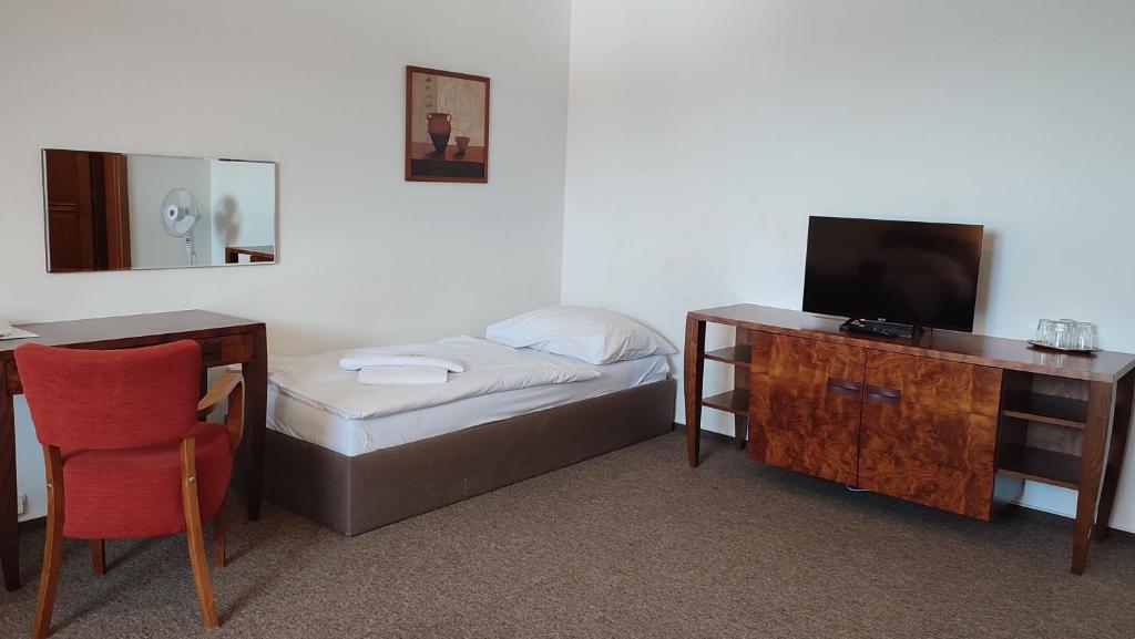 TV a/nebo společenská místnost v ubytování Hotel Vion