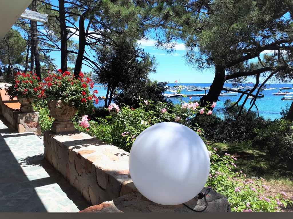 un ballon blanc assis sur un mur près de l'eau dans l'établissement Casa A Spiaggia Pinarello, à Pinarellu