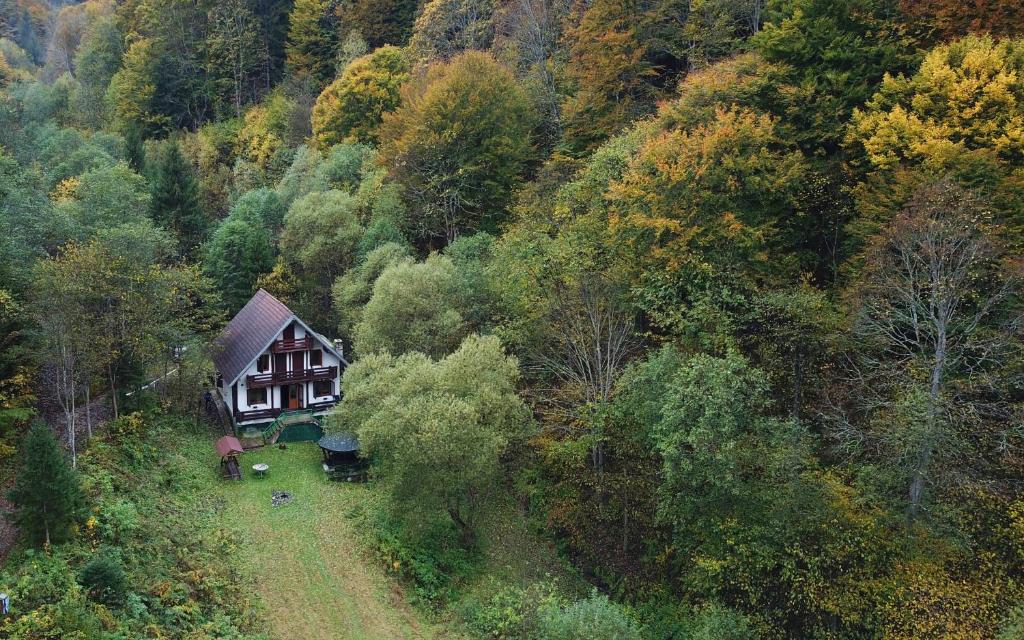 a house on the side of a hill with trees at Casa de vacanta Satic Piatra Craiului La Doi viermi in Sătic