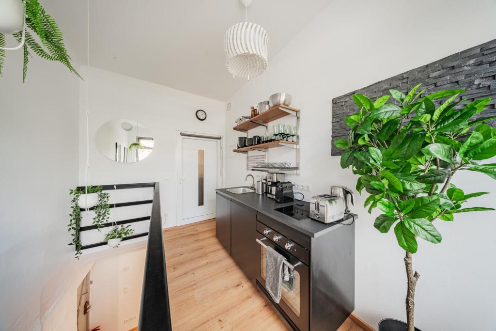 City Center Lofts - Resim 10