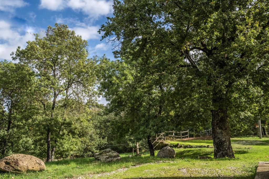 Příroda nedaleko apartmánu