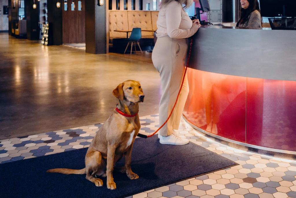 Aloft Aberdeen TECA - Resim 17