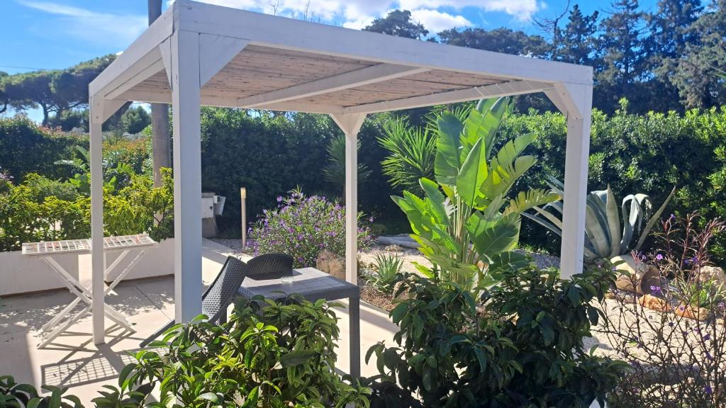 Giardino D'Oriente - 12