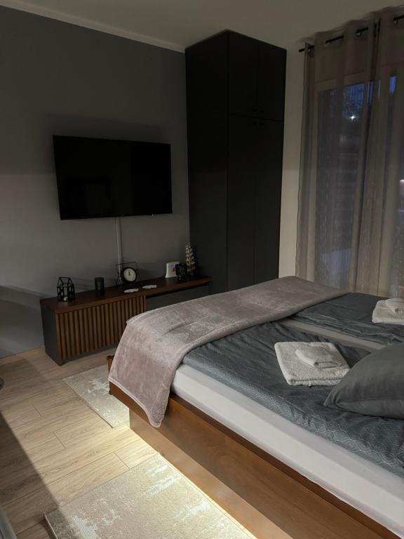 Postel nebo postele na pokoji v ubytování Apartmani Viver Vrnjačka Banja