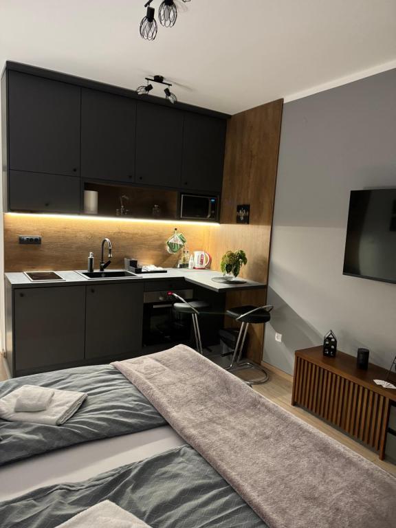 Kuchyň nebo kuchyňský kout v ubytování Apartmani Viver Vrnjačka Banja