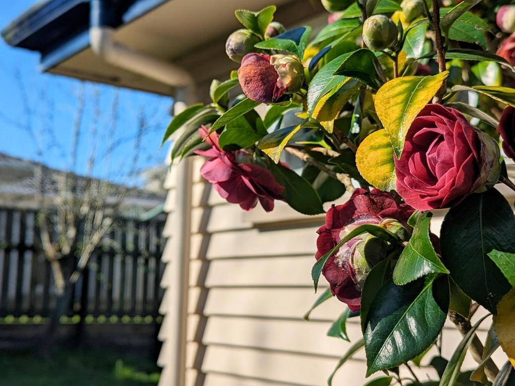 Dream home in central of Rotorua with spa pool - Resim 28