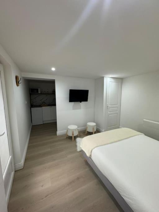 une chambre avec un lit et une télévision à écran plat dans l'établissement Bel appartement rez-de-chaussée, à Dijon