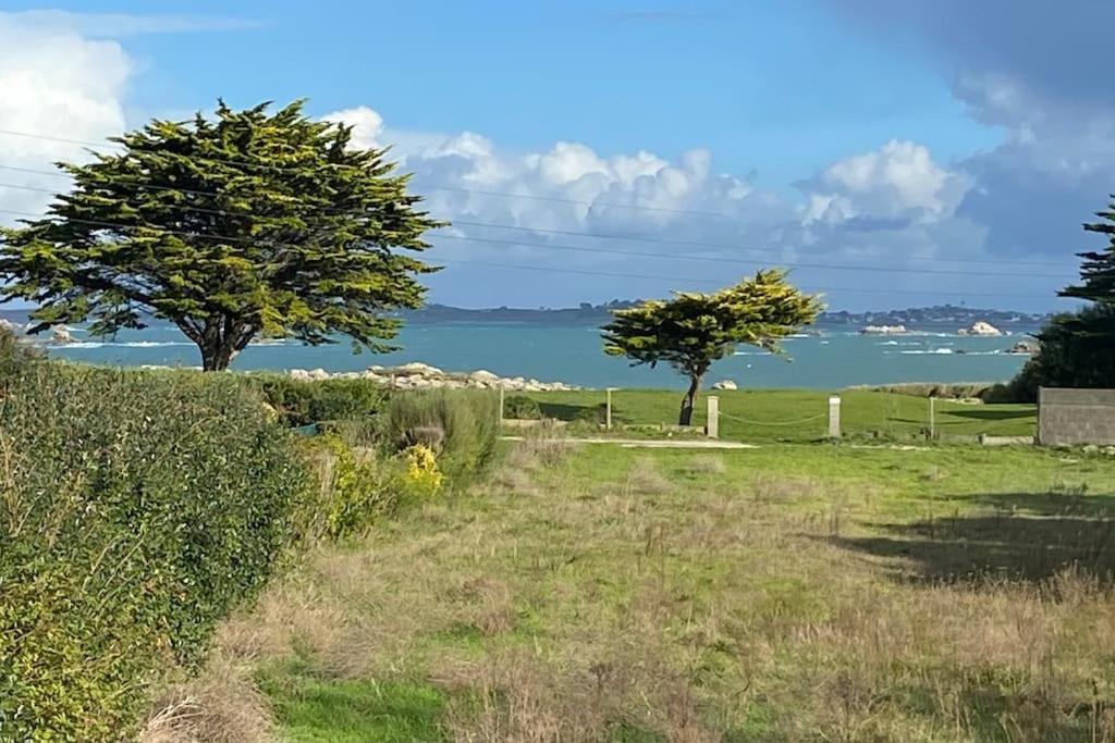a field with two trees and a body of water at VILLA DU BILLOU Repos et plaisirs de la mer in Santec