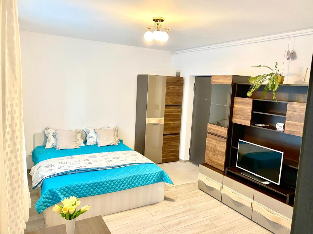 Gallery image of Garsonieră Trivale in Piteşti