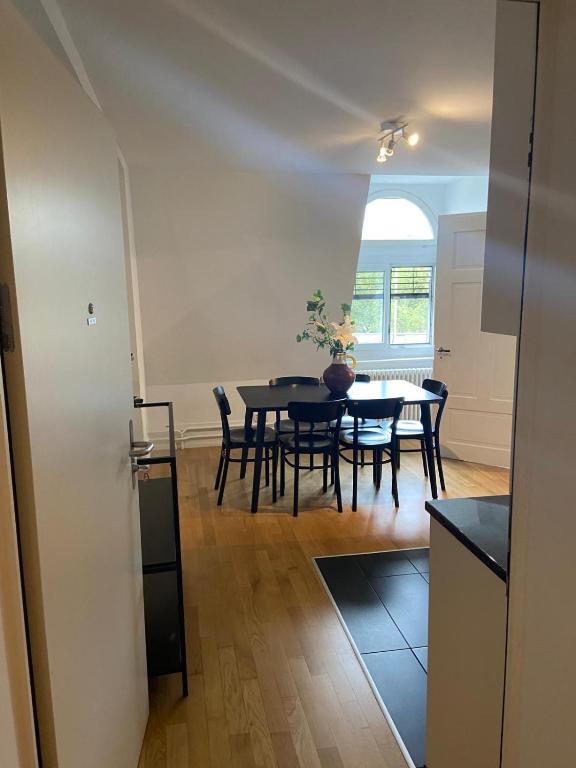 Apartments in Zelgstrasse-Zurich