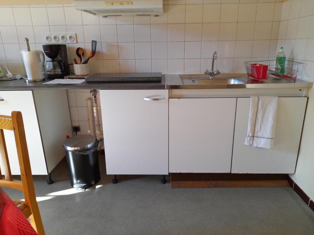 une cuisine avec un évier et un plan de travail dans l'établissement Le mansardé du pont de la seine, à Troyes