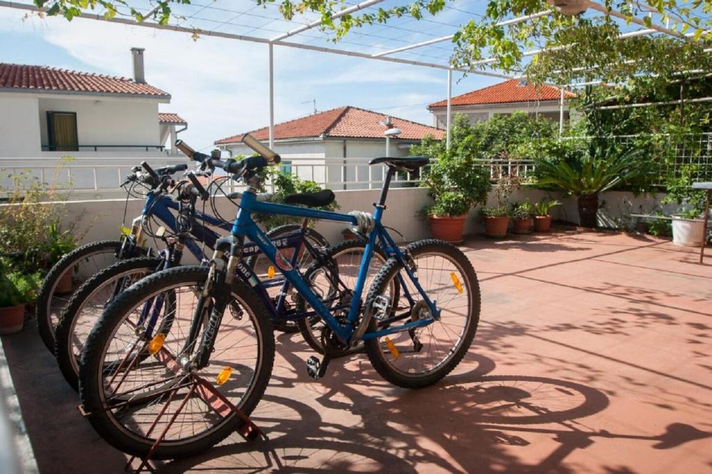 Fotografie z fotogalerie ubytování Apartment Sve v destinaci Makarska