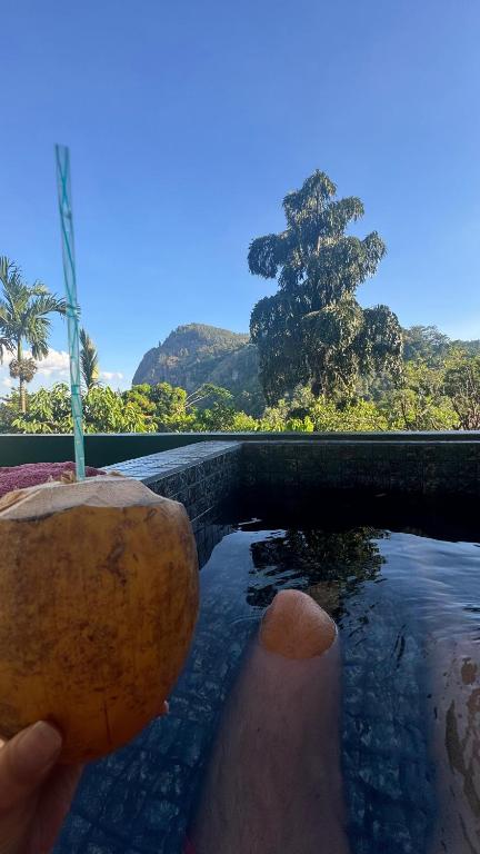 Ella Country House - 19