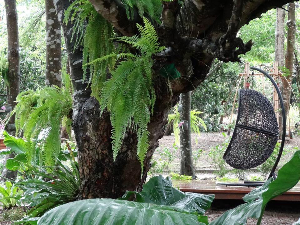 a tree with a swing in a garden at Ming Shan Villa in Dashu