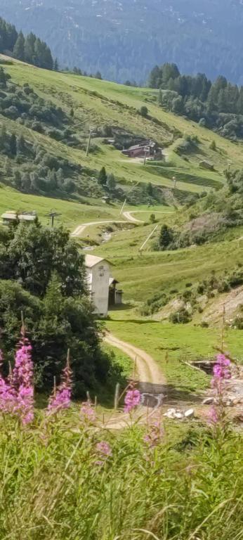 Příroda nedaleko apartmánu