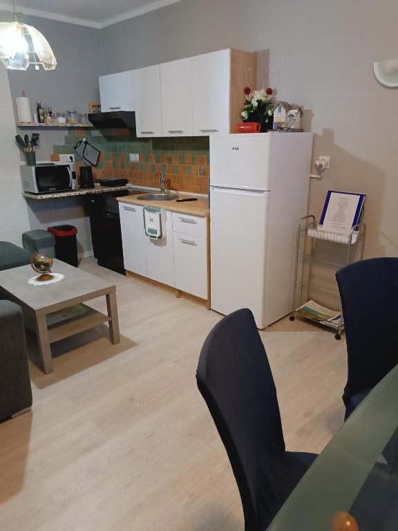 Kuchyň nebo kuchyňský kout v ubytování Apartma Xanadu