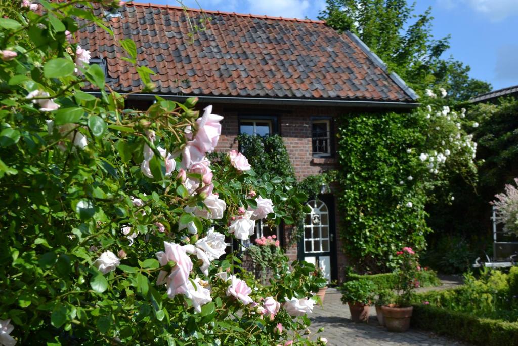 ein Haus mit rosa Blumen davor in der Unterkunft Holiday home Elena in Slenaken