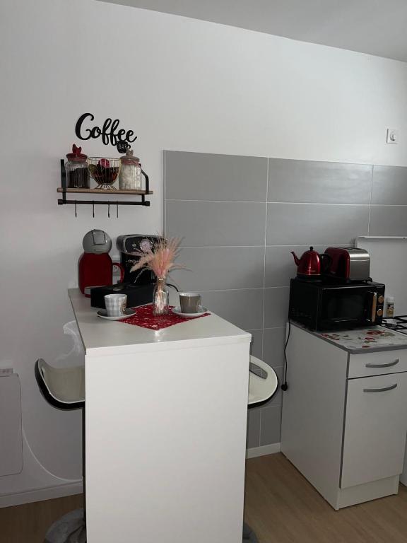 - une cuisine avec un comptoir et un four micro-ondes dans l'établissement studio 28m, à Saint-Claude