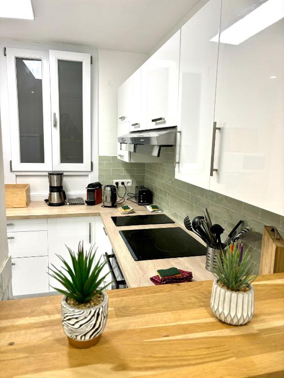 une cuisine avec des placards blancs et une table en bois avec deux plantes dans l'établissement Les chambres de Cédric ICONIC TRAM GARE Nice Ville pour personnes CALMES, à Nice