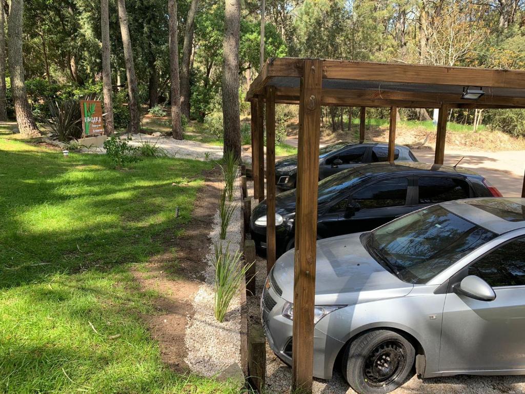 Kimbara Bosque y Mar