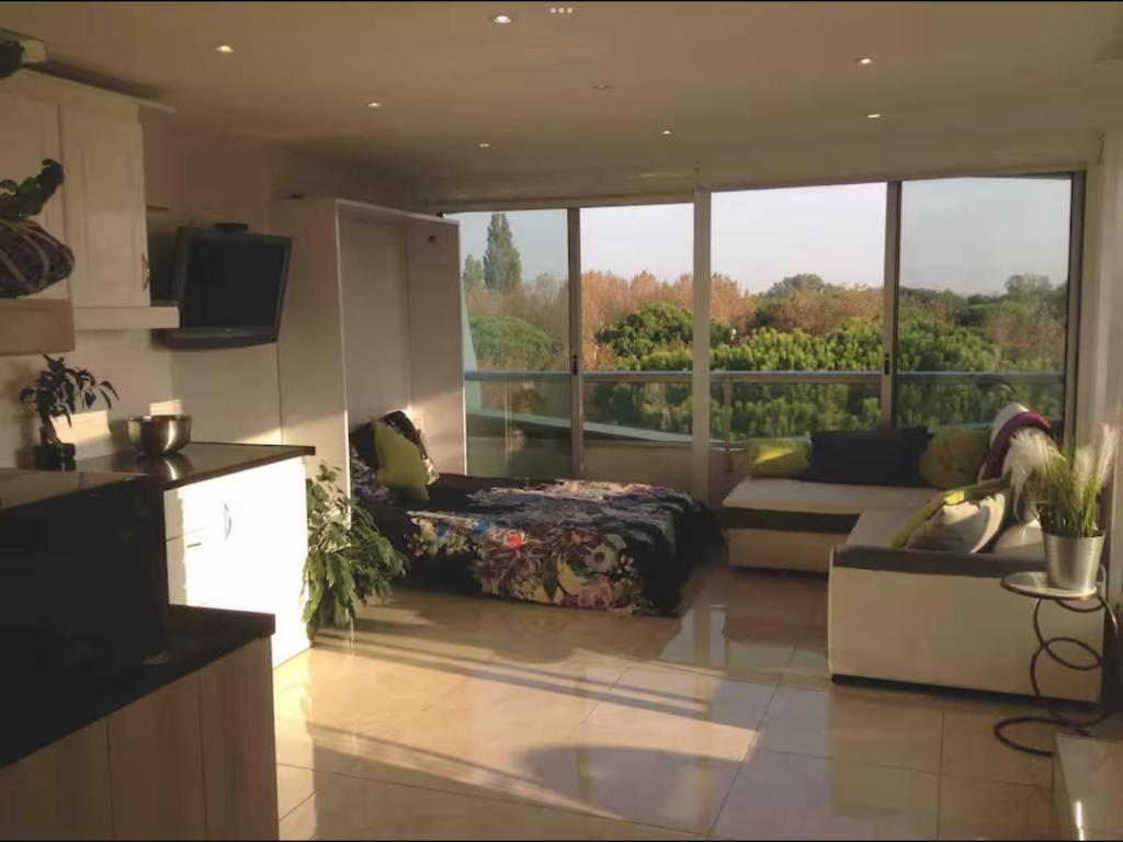 un salon avec un canapé, un lit et une télévision dans l'établissement Studio 34m2 avec la terrasse 60m2, aperçu mer, parking, Clim, plage à 150 m,Wi-fi, piscine, à La Grande Motte