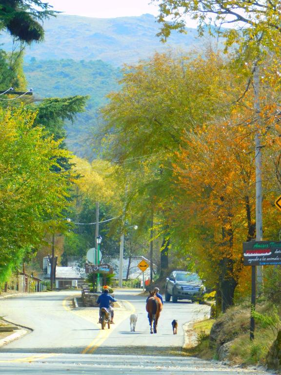 Cabaña Villa el Chacay