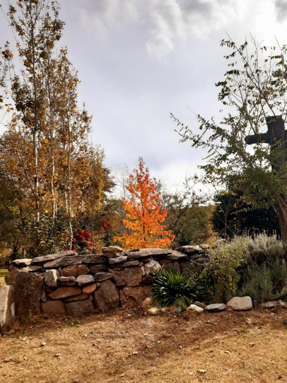 Cabaña Villa el Chacay