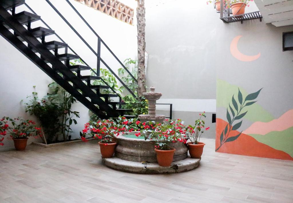 Fotografie z fotogalerie ubytování Casa Relox 43 v destinaci San Miguel de Allende