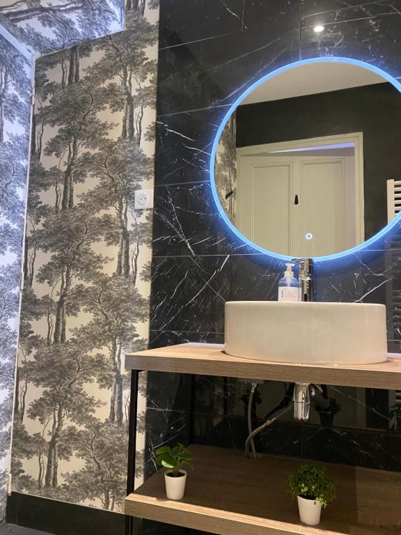 Kúpeľňa v ubytovaní Maison de maître Les toiles à Elise