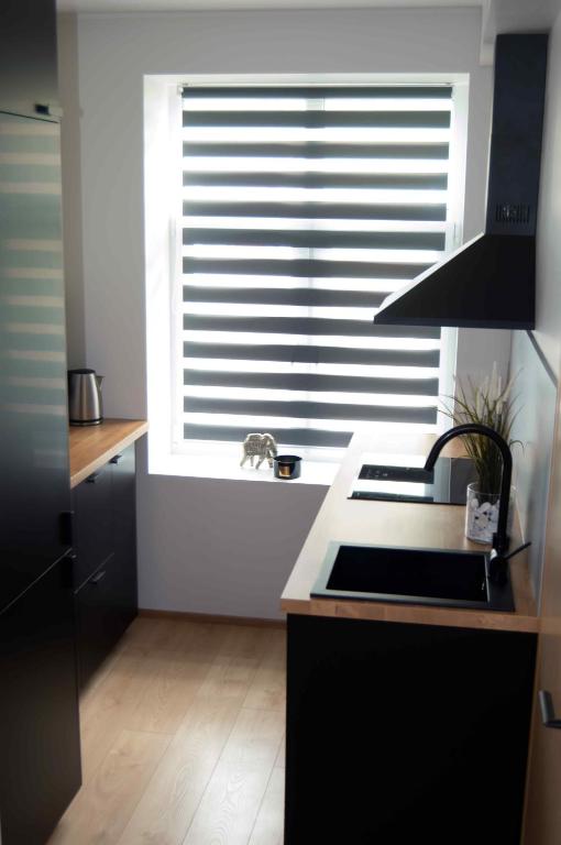 Kuchyň nebo kuchyňský kout v ubytování Suur-Posti Apartments