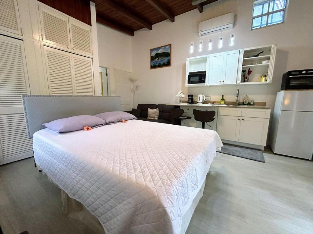 Kuchyň nebo kuchyňský kout v ubytování LaBellevue Antigua Micro-Hotel and Car Rental