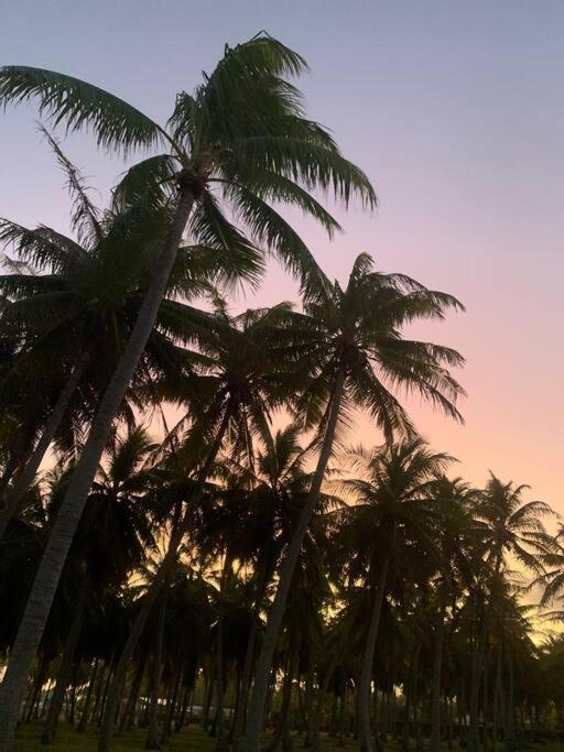 Bungalow sur la Passe de Tiputa, Avatoru - photo 11 - Rangiroa, Polynésie
