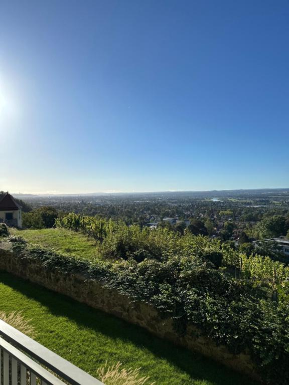 a view from the top of a hill at Wohlfühl-Apartment Elbtal in Radebeul