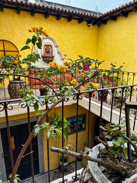 Maison Bougainvillea