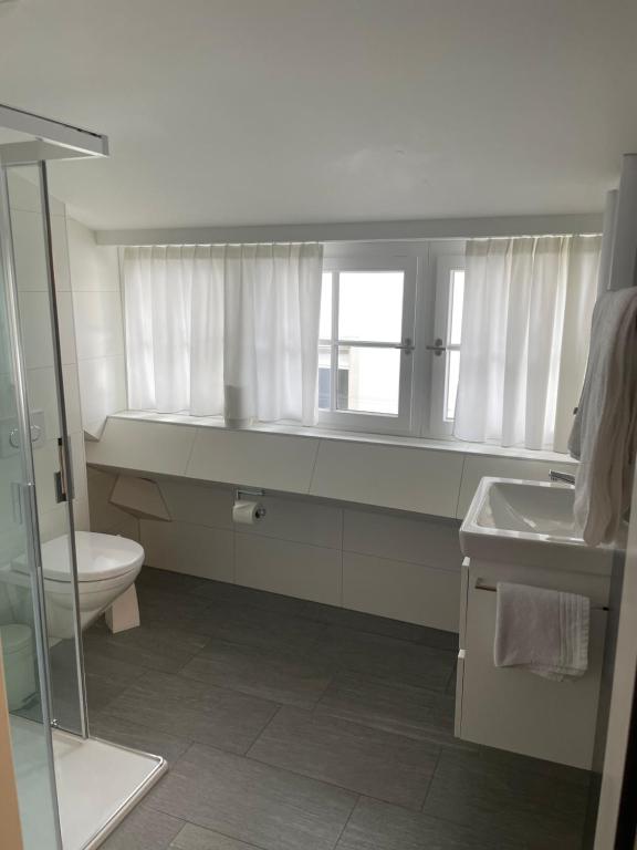 Aparthotel Splendid City Center - Resim 3