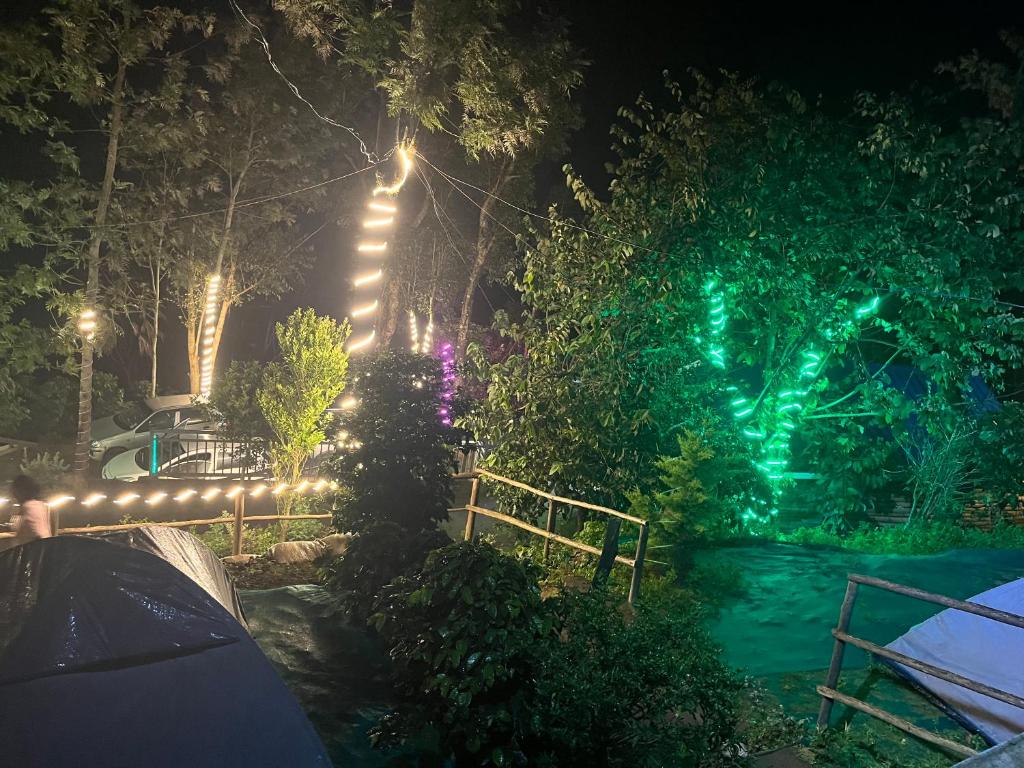 Fotografie z fotogalerie ubytování Rima leisure Resort Suryanelli v destinaci Munnar