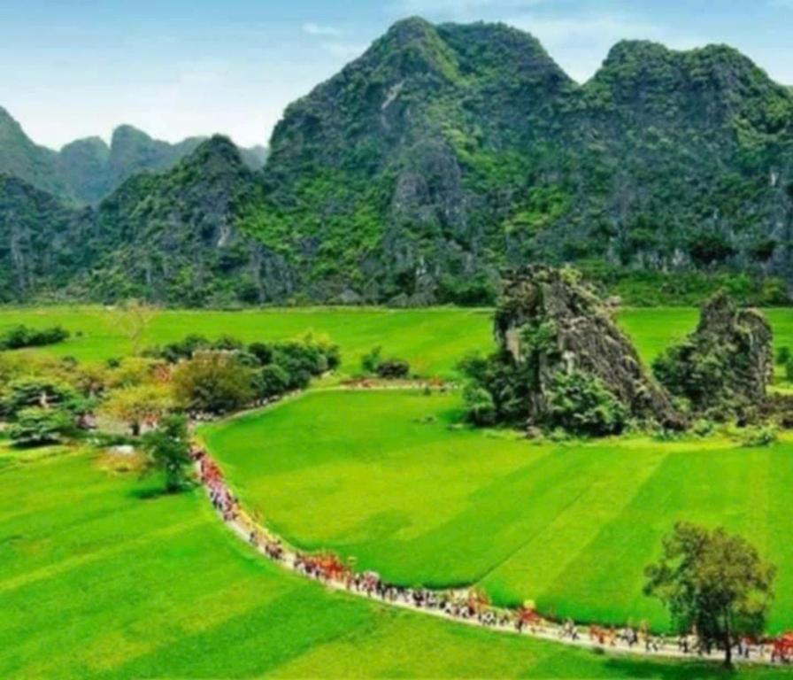 Tam Coc Pomelo Garden - 17