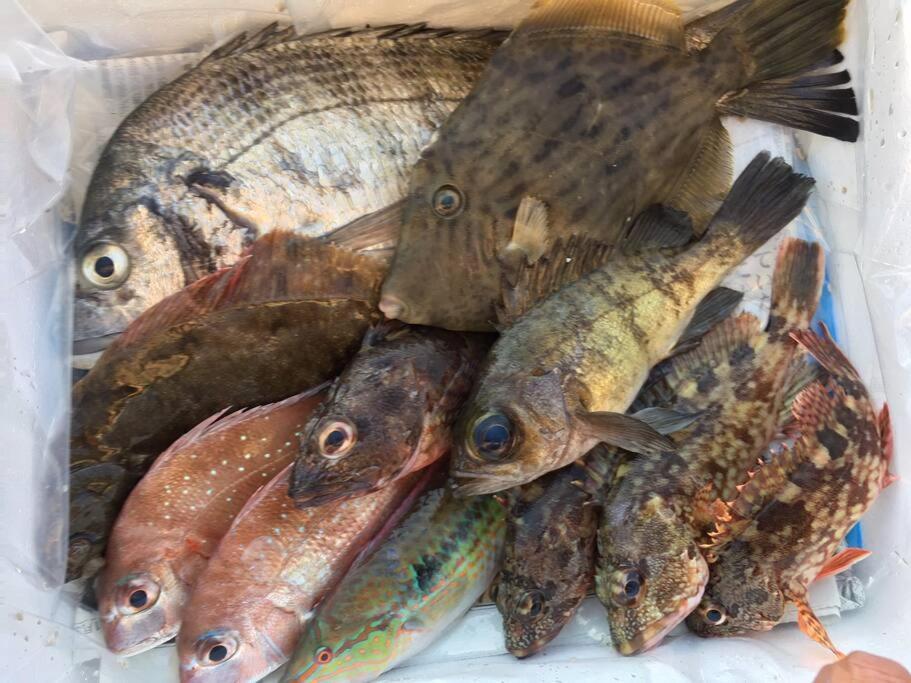 Altri animali domestici presso la villa o nei dintorni