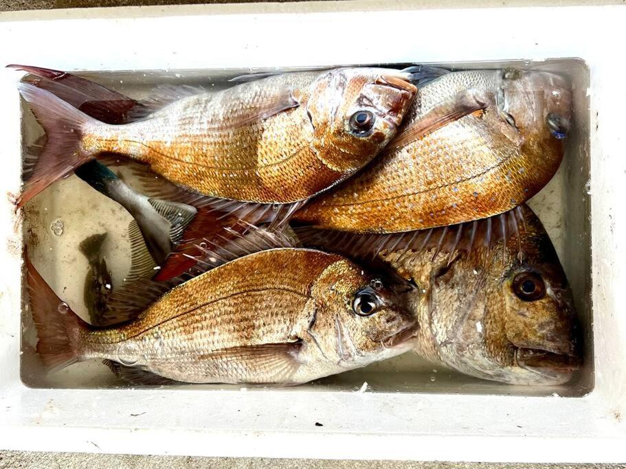 Altri animali domestici presso la villa o nei dintorni
