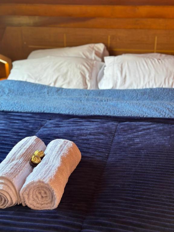Postel nebo postele na pokoji v ubytování Chalé da Roça