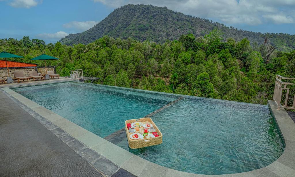 a swimming pool with a basket of inflatables in it at Munduk Kupang Sekumpul Villa in Singaraja