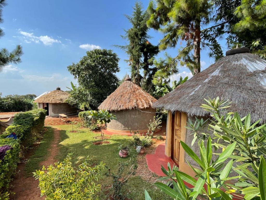 two huts with thatched roofs in a garden at Rock Garden Sipi in Kapchorwa