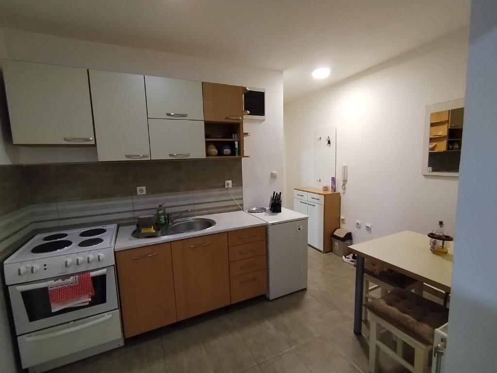 Kuchyň nebo kuchyňský kout v ubytování Apartman Gajić