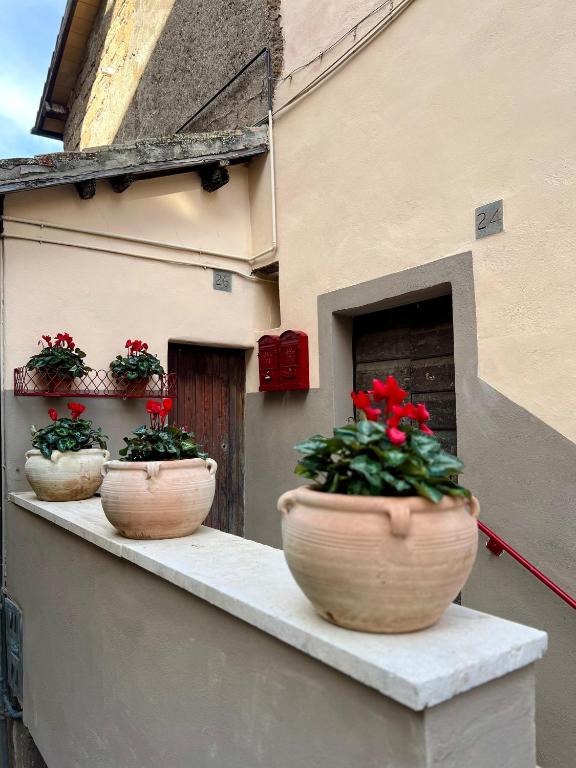 Fotografie z fotogalerie ubytování Elena's Suite v destinaci Sutri