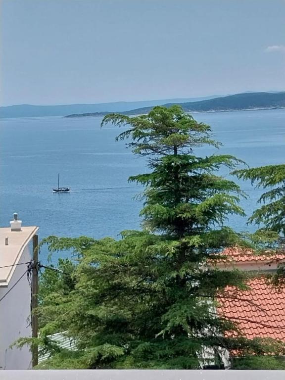 Příroda nedaleko apartmánu